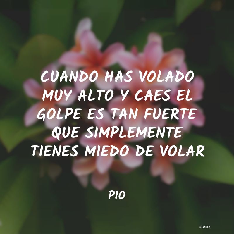 Frases de PIO