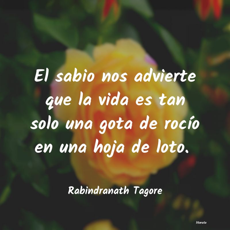 Frases de Rabindranath Tagore