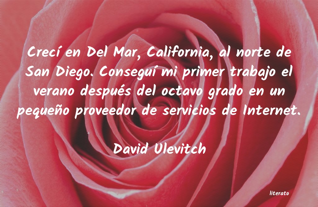 Frases de David Ulevitch