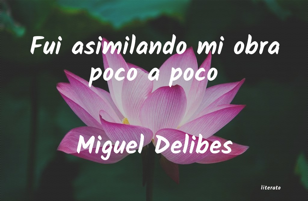 frases de Miguel Delibes