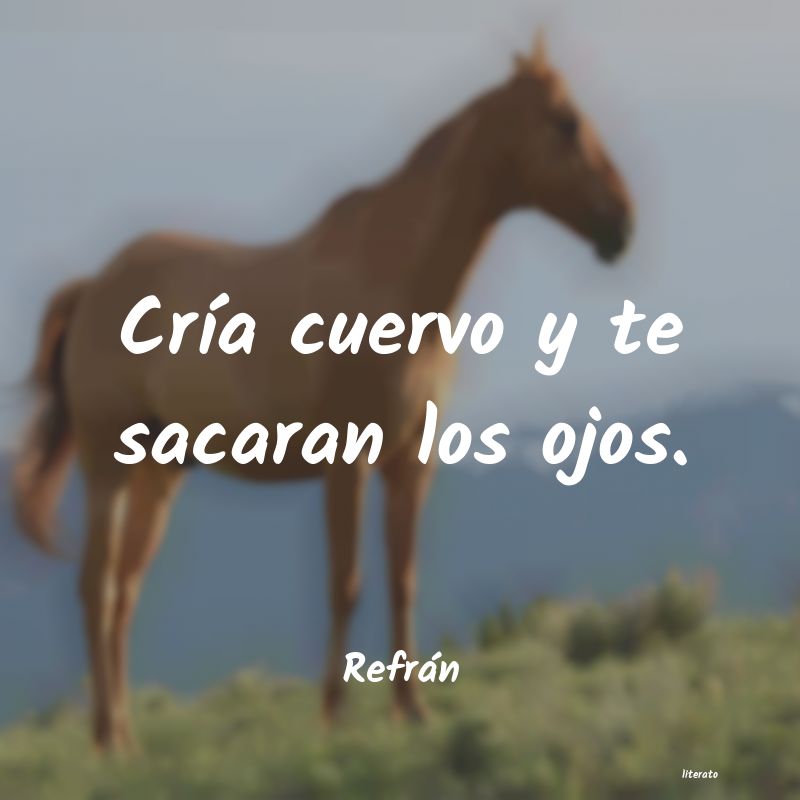 Frases de Refrán