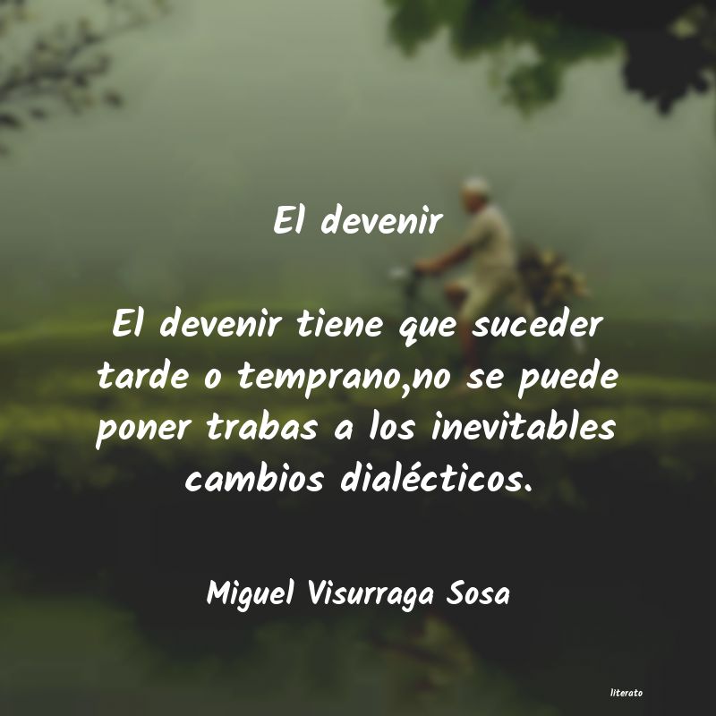 Frases de Miguel Visurraga Sosa