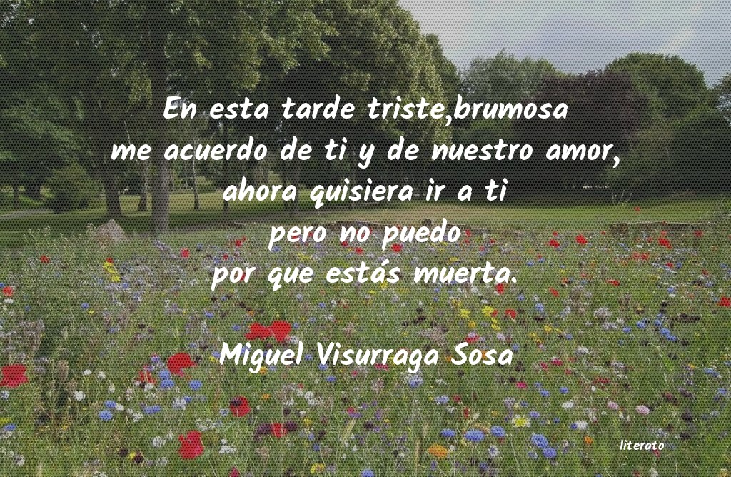 Frases de Miguel Visurraga Sosa