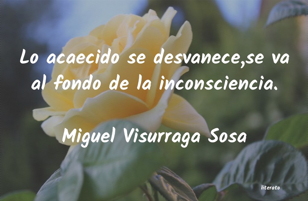 Frases de Miguel Visurraga Sosa