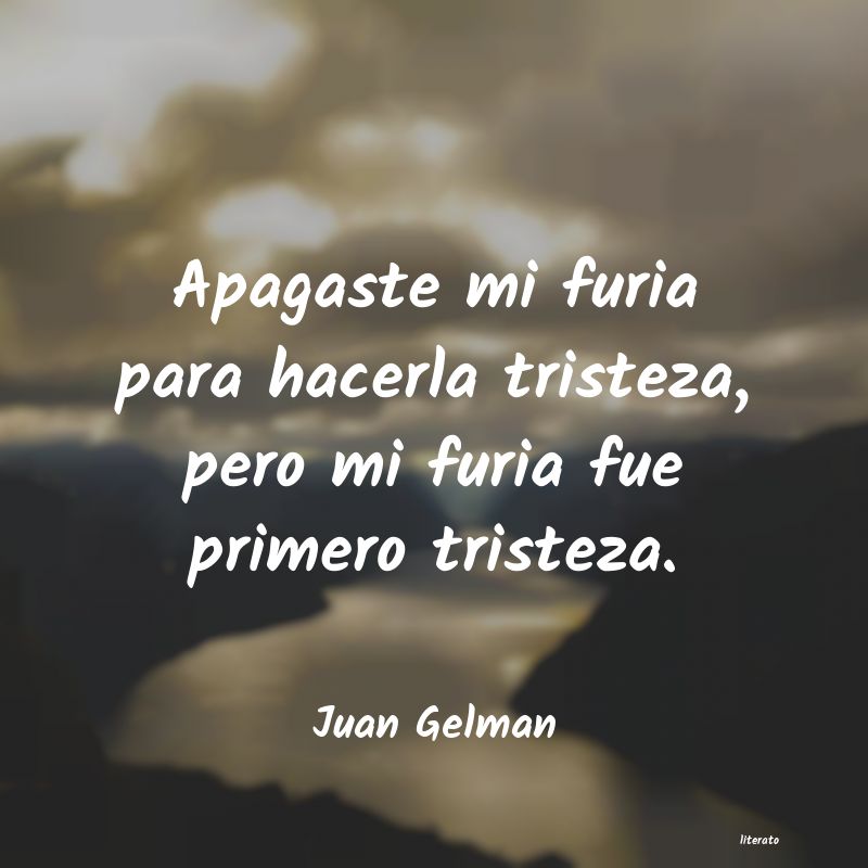 Frases de Juan Gelman