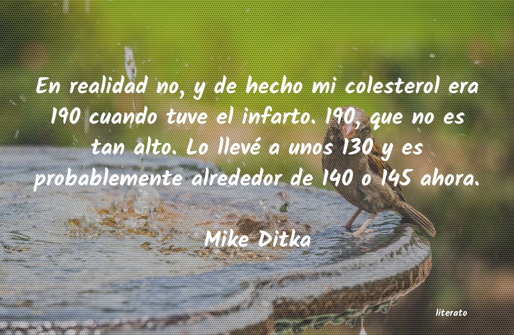 Frases de Mike Ditka