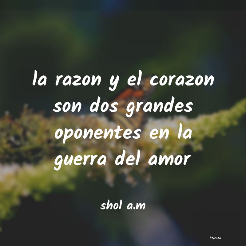 Frases de shol a.m