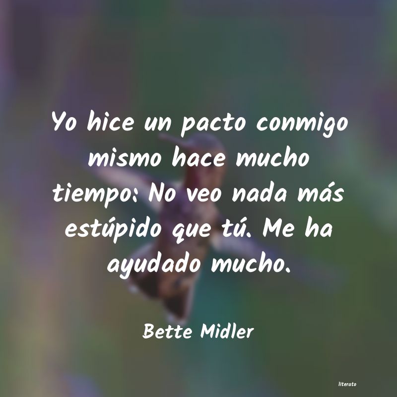frases de Bette Midler