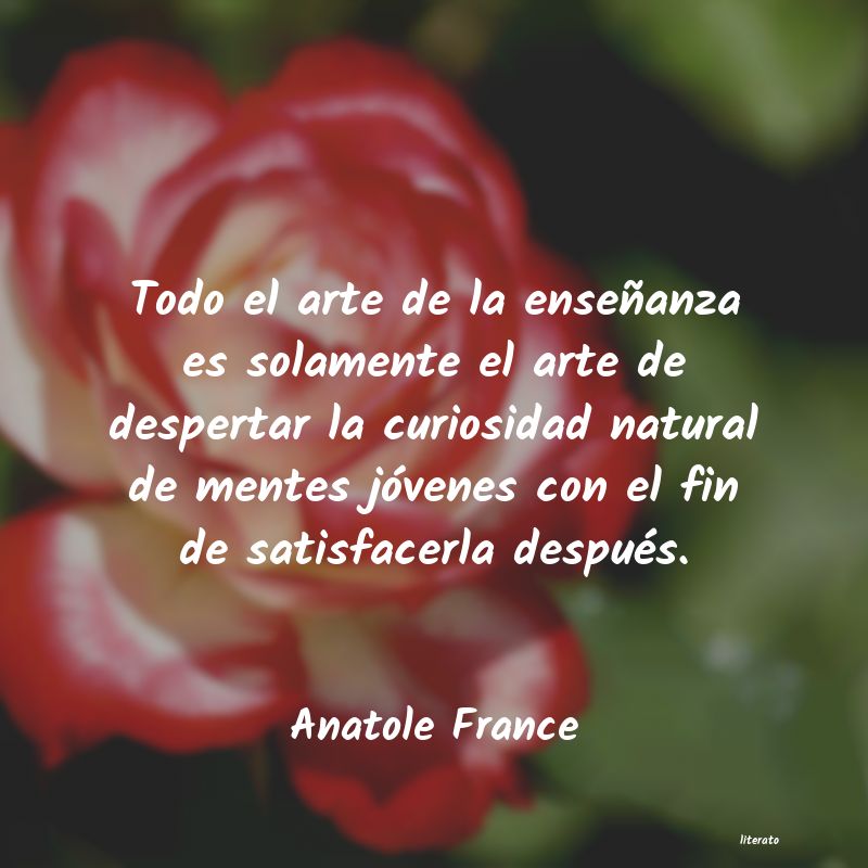 frases de Anatole France