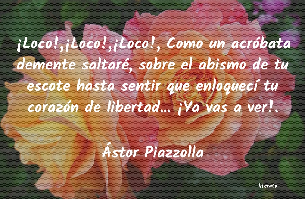 Frases de Ástor Piazzolla