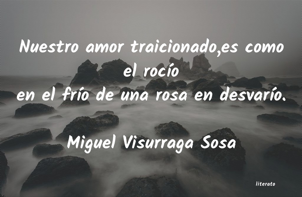 frases de Miguel Visurraga Sosa