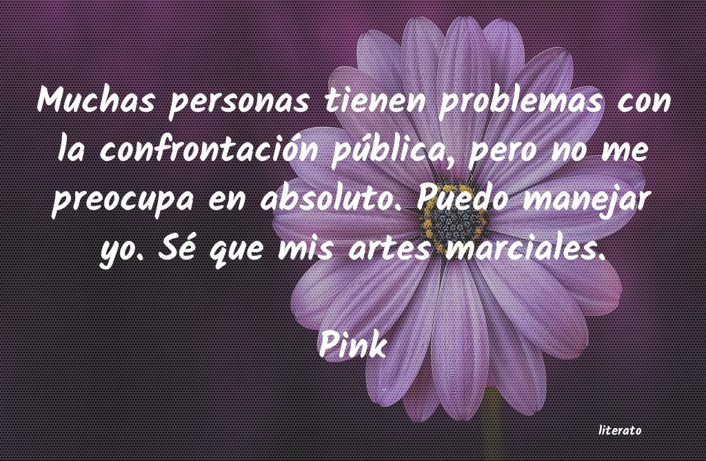 frases de Pink
