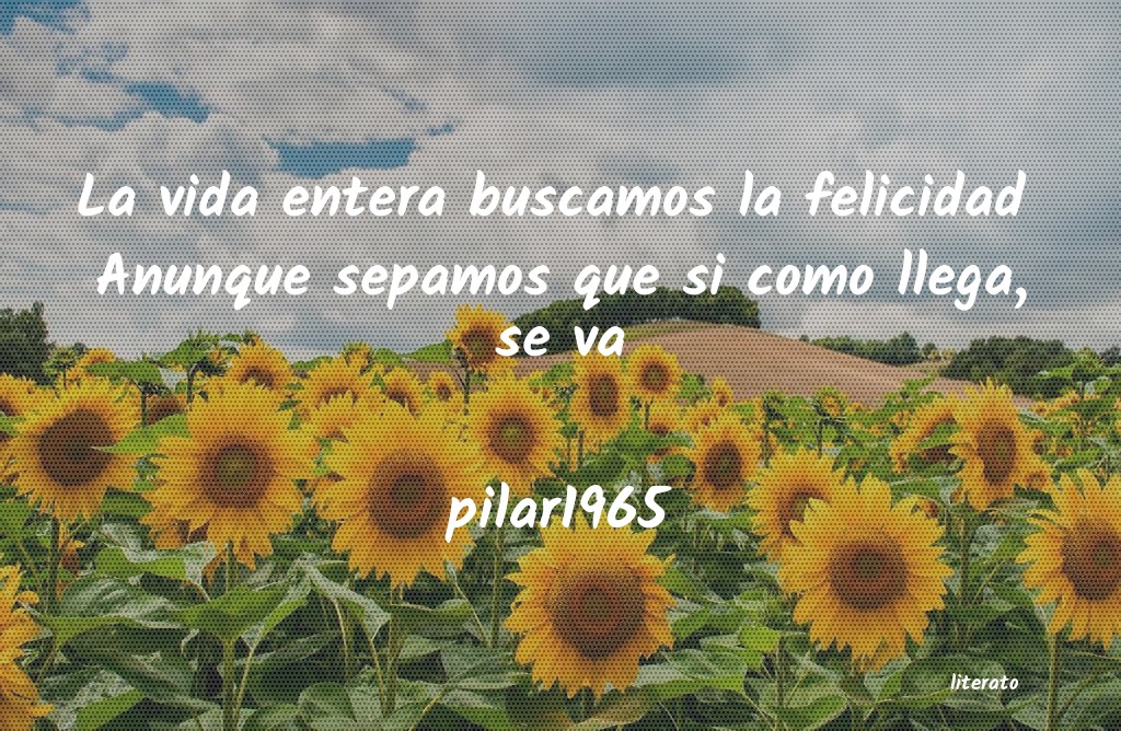 Frases de pilar1965