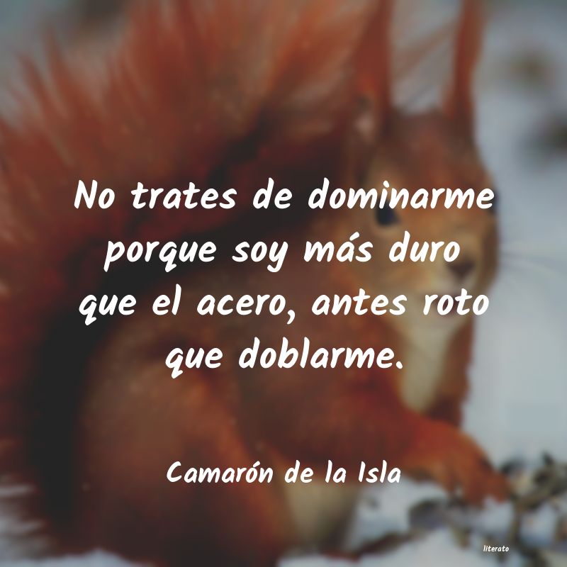 frases de Camarón de la Isla