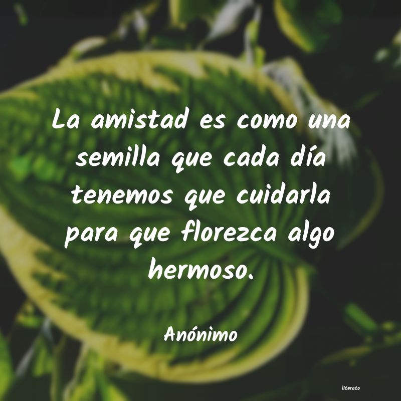 frases