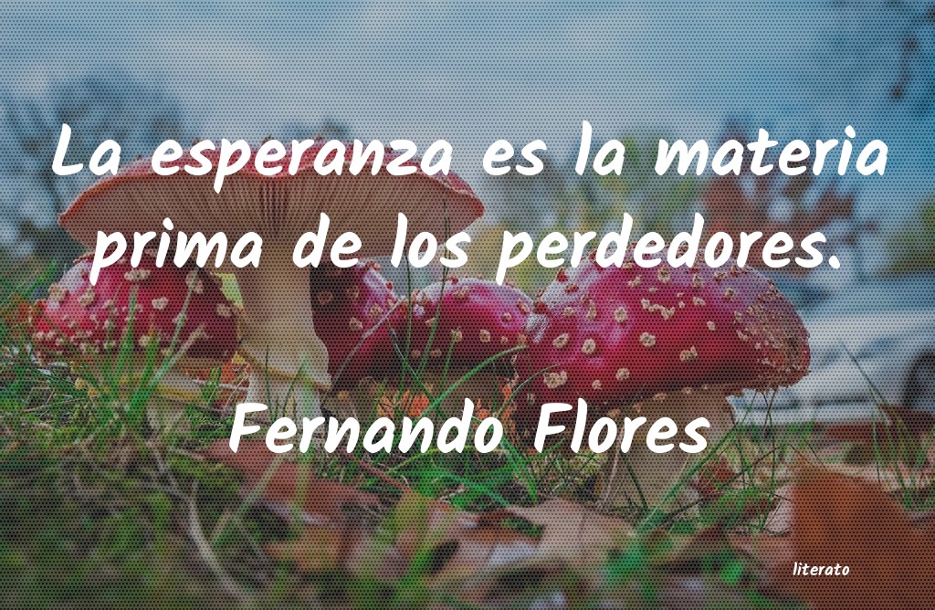 Frases de Fernando Flores