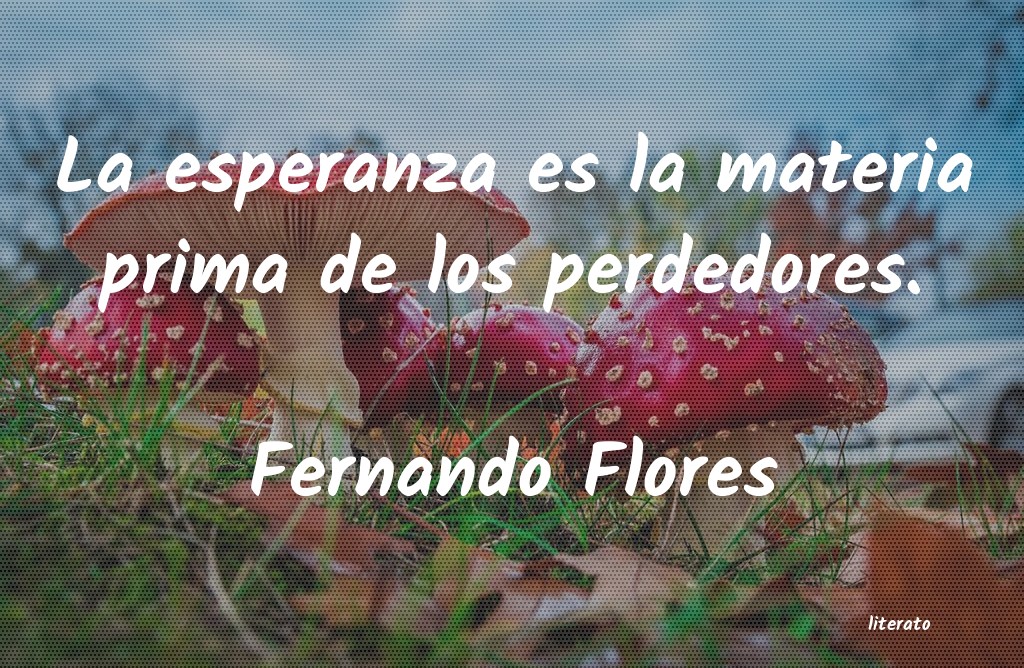frases de Fernando Flores
