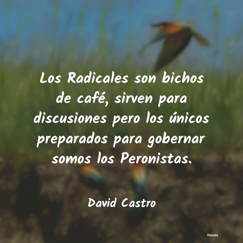 Frases de David Castro