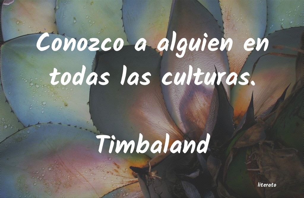 frases de Timbaland