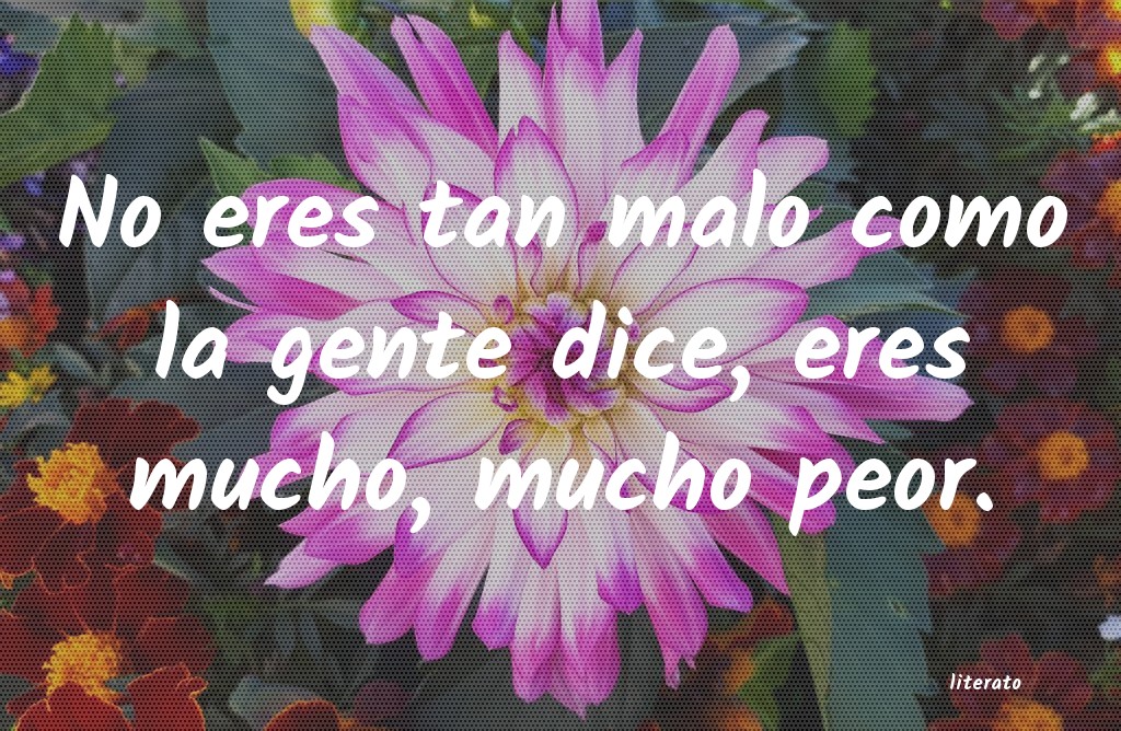 frases sarcasticas