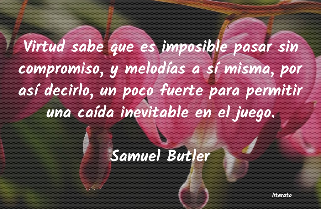 Frases de Samuel Butler