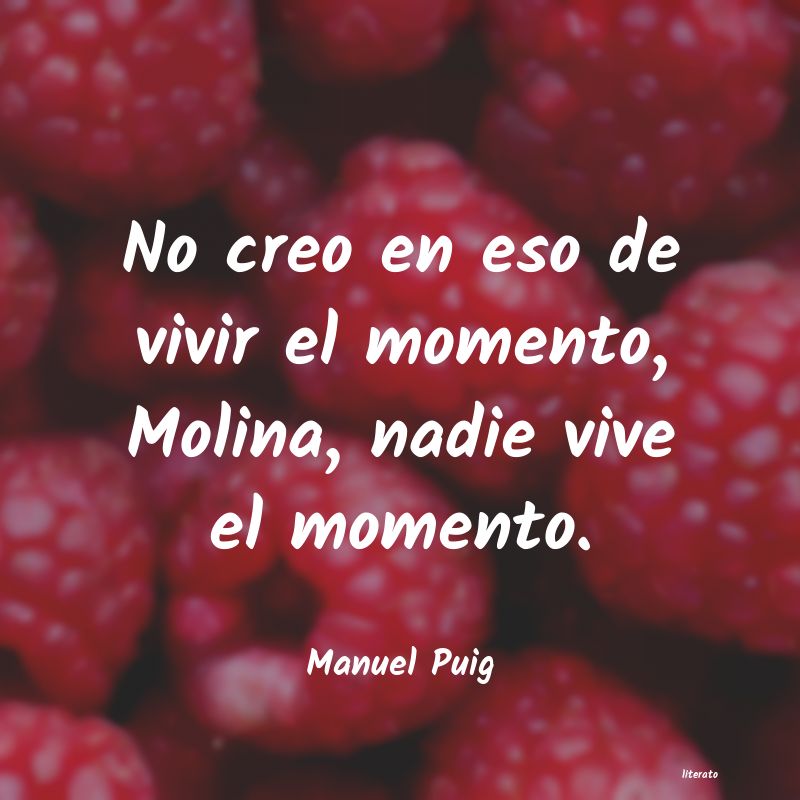 Frases de Manuel Puig