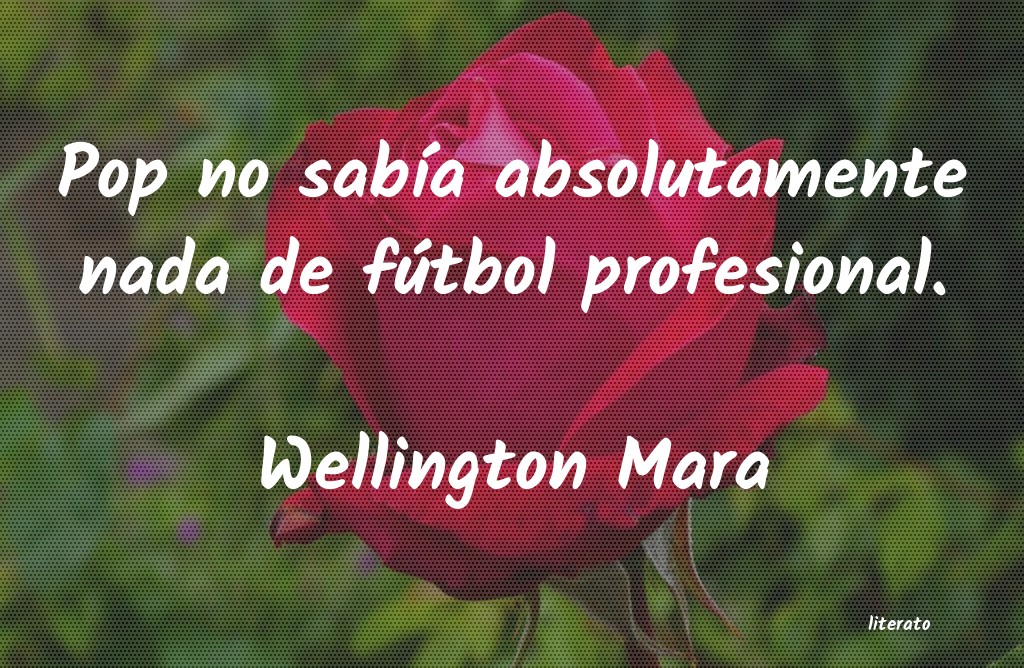 Frases de Wellington Mara