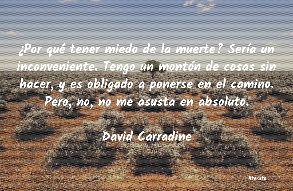 Frases de David Carradine