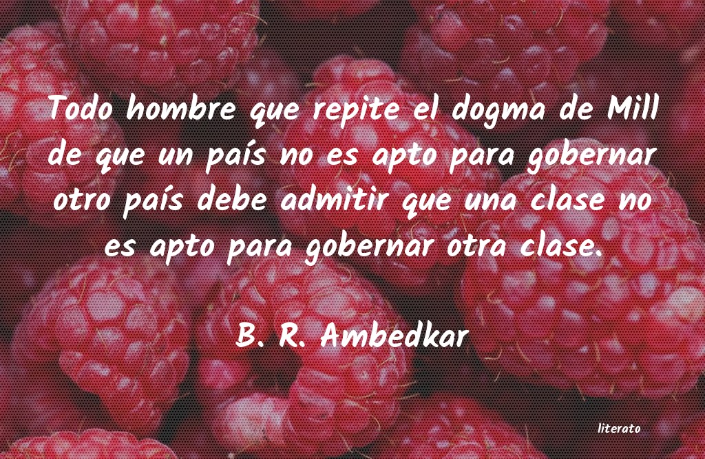 Frases de B. R. Ambedkar