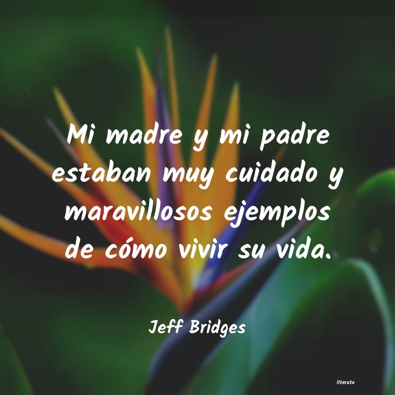 Frases de Jeff Bridges