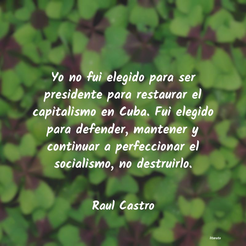 Frases de Raul Castro