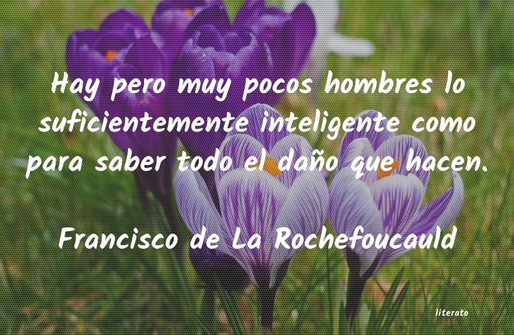 Frases de Francisco de La Rochefoucauld