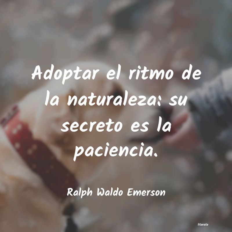 ralph waldo emerson paciencia