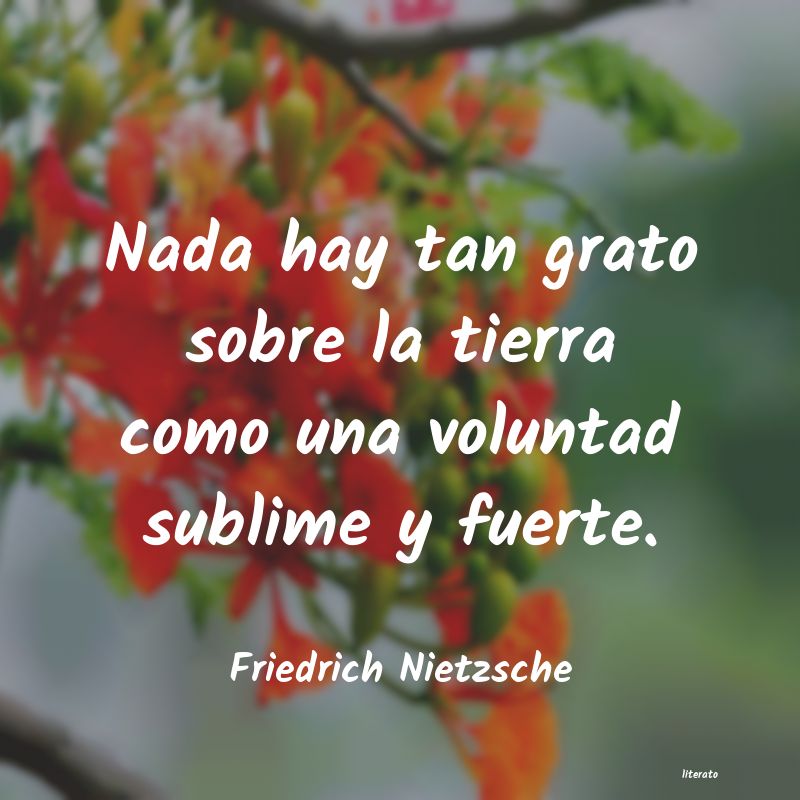 Frases de Friedrich Nietzsche