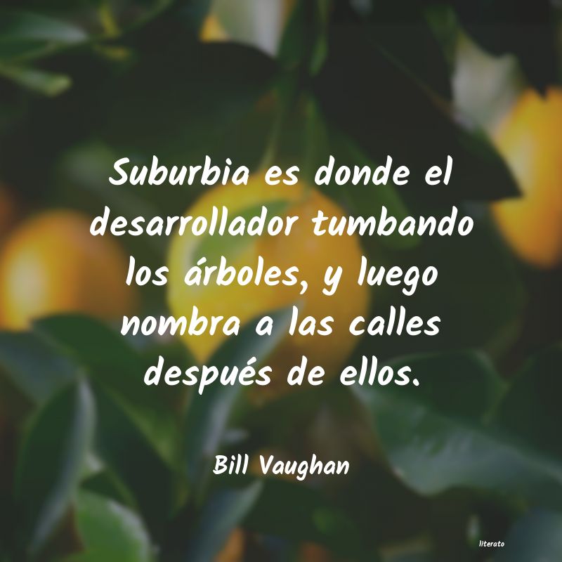 Frases de Bill Vaughan