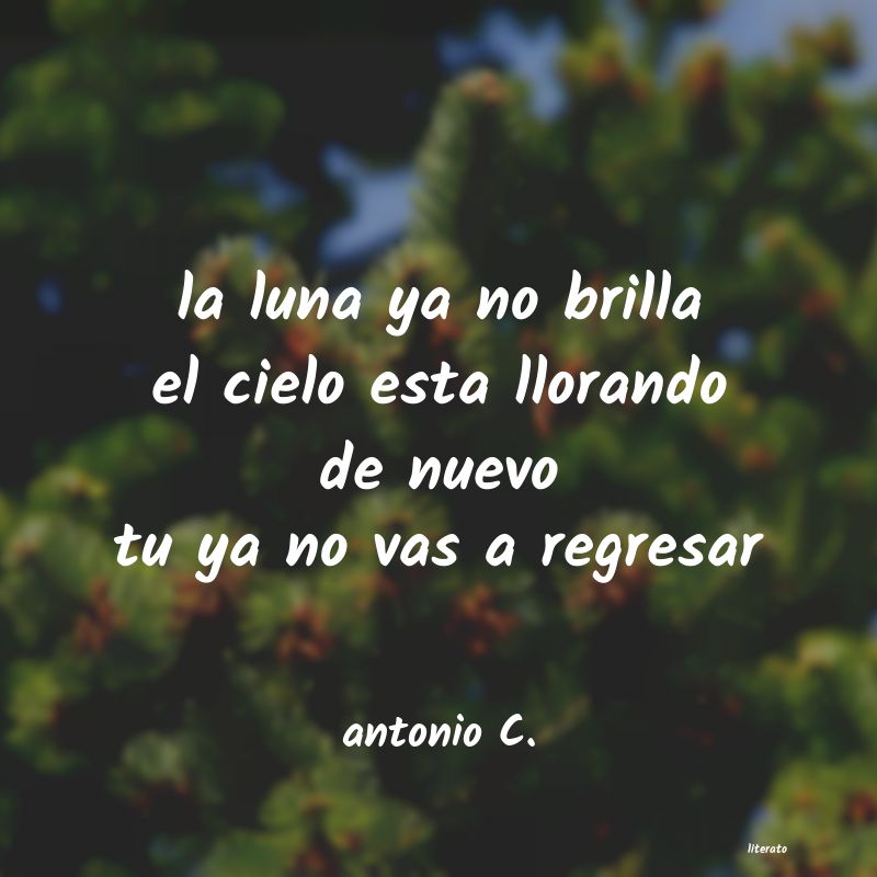 Frases de antonio C.