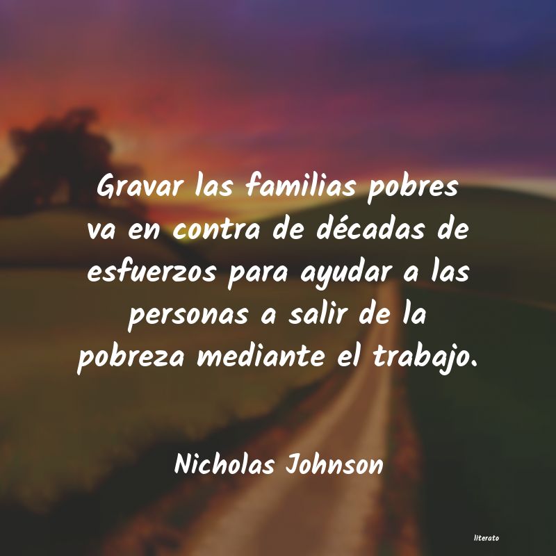 frases de Nicholas Johnson