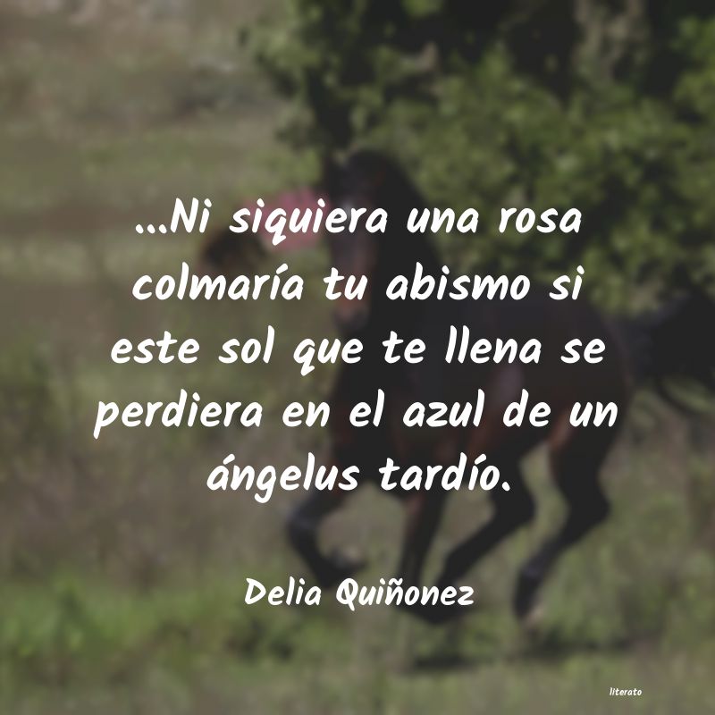 Frases de Delia Quiñonez