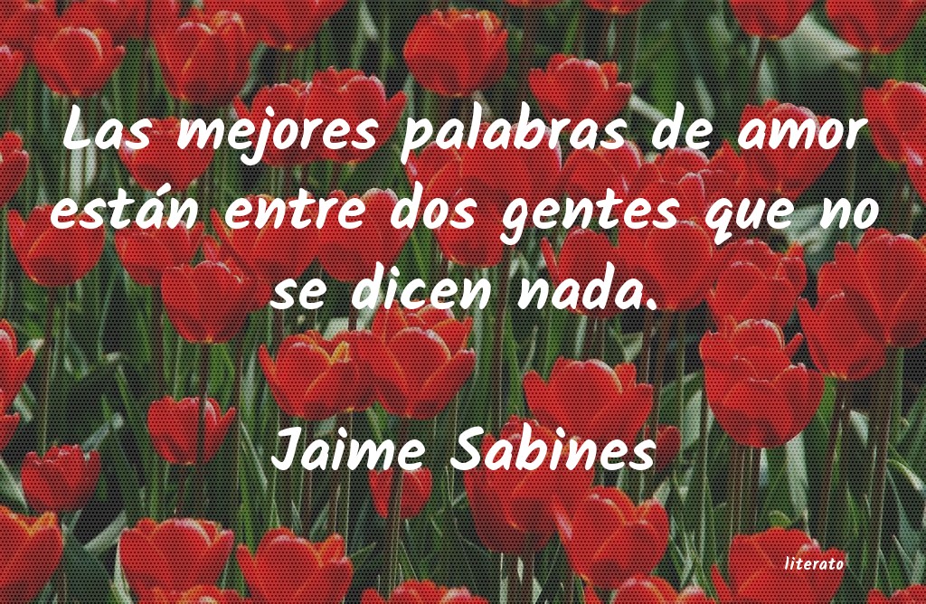 Frases de Jaime Sabines