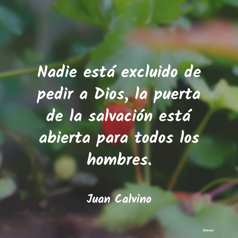 frases de Juan Calvino