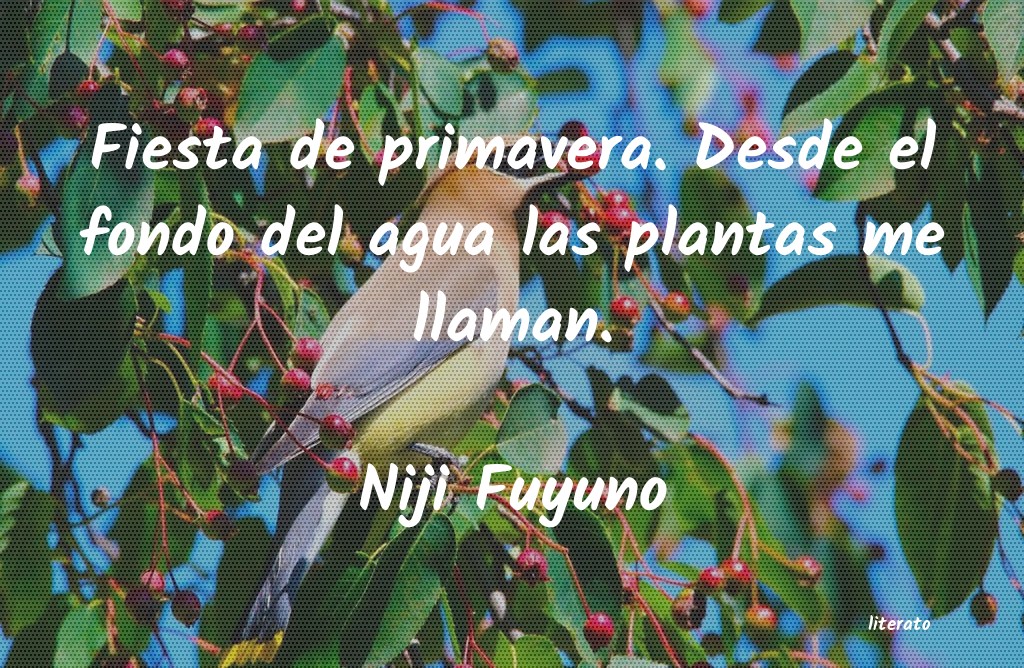frases de Niji Fuyuno