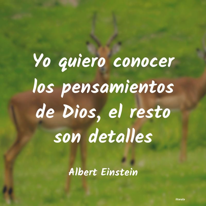 querer conocer
