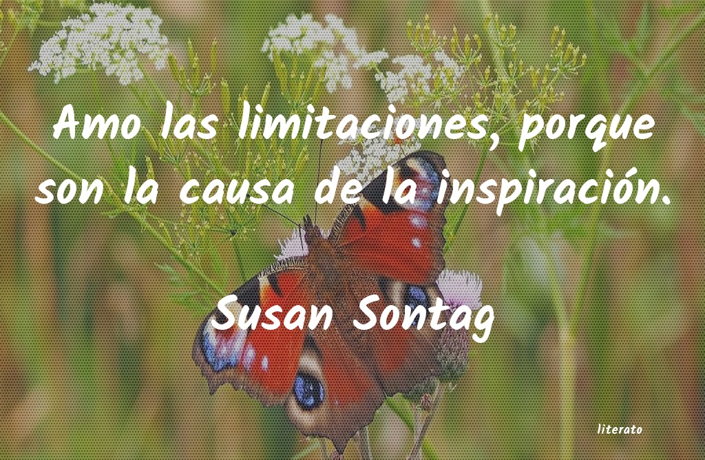 Frases de Susan Sontag