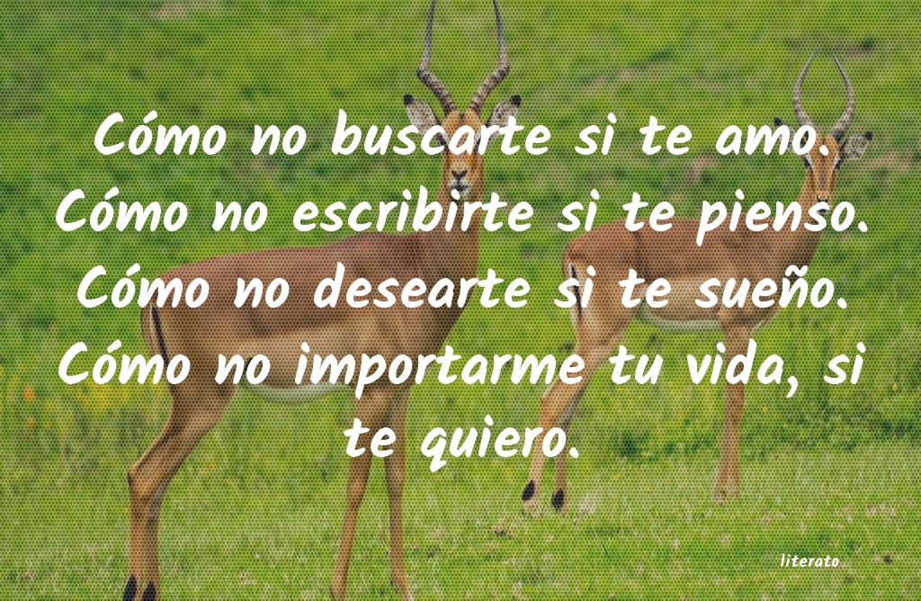 frases