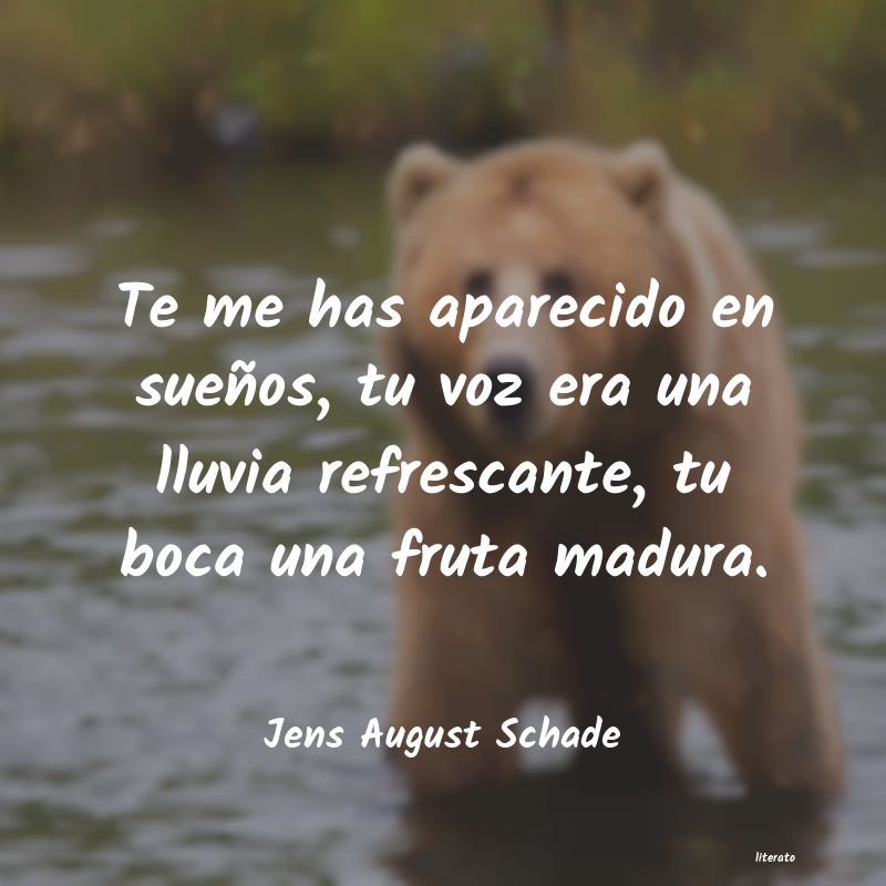 Frases de Jens August Schade