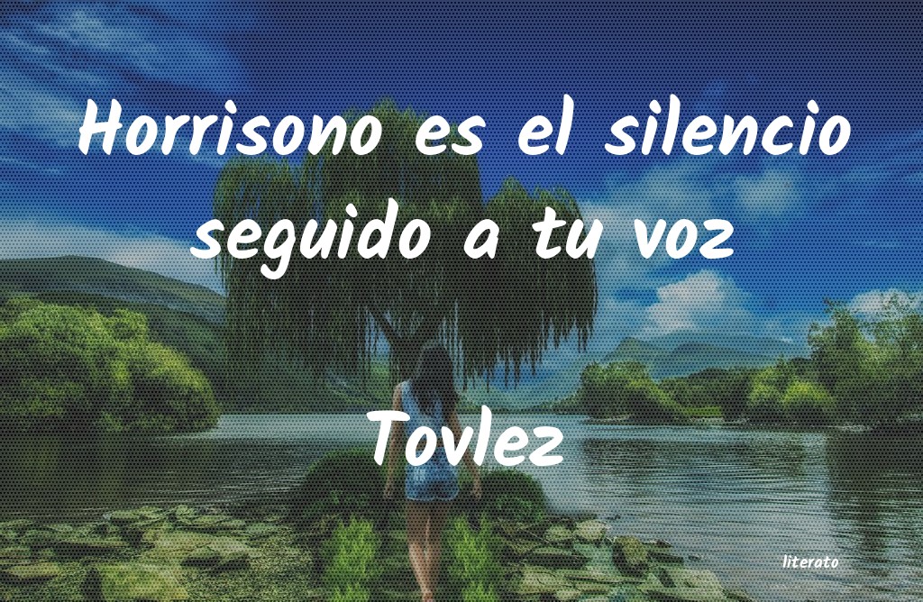 Frases de Tovlez