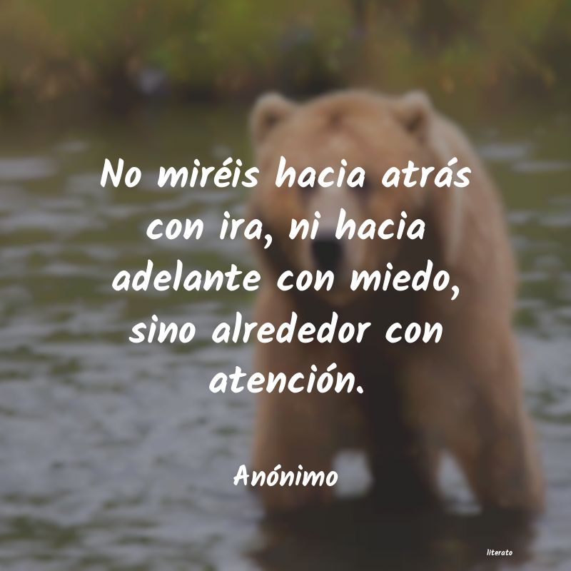 Frases para mirar hacia adelante - Literato