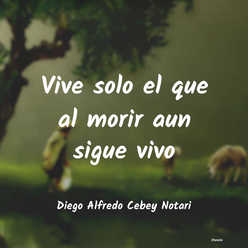 frases de Diego Alfredo Cebey Notari
