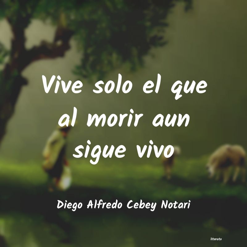 Frases de Diego Alfredo Cebey Notari