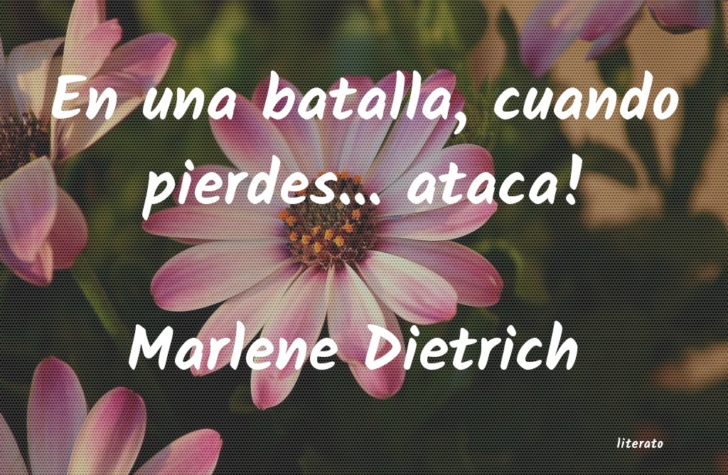 si te enamoras pierdes